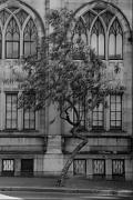 pm twisted tree jason butler ma - ... ...