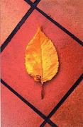 psm leaf on tiles jacques roussela - ... ...