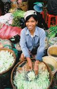 psm market colours pat gaudrya - ... ...