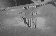 puddlesofsydney-gigapixel-hq-scale-2 00x - ... ...