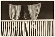 My curtains - Maureen Rogers