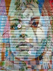 roses_n_faces - Charles Wheeler