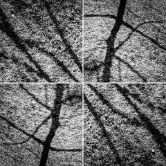 shadow lines squared - Christoph Mueller