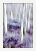 sm azure glade dawn zandstr-gigapixel-hq-scale-2 00x - ... ...