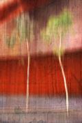 sm dream time dawn zandstra - ... ...