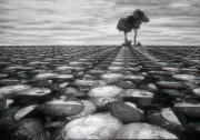 sm pumpkin fields dawn zand-gigapixel-hq-scale-2 00x - ... ...