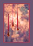 sm trio dawn zand - ... ...
