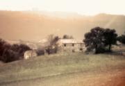 sm tuscan hills dawn zandstra-gigapixel-hq-scale-2 00x - ... ...
