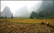 sm vietnamese valley dawn zandstra - ... ...