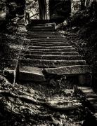 stairs - Hans Olthof