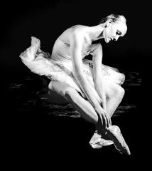 swanlake - eric Lippey