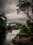 taronga - ... ...