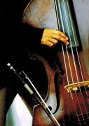 the bass player - ... ...