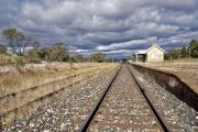 the long track - Beryl Jenkins