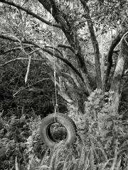 tyre swing mono - Bruce Wilson