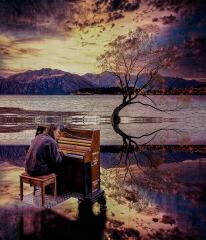 wanaka - Eric Lippey