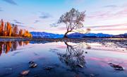 Wanaka - eric Lippey