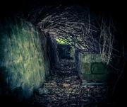 where? - Hans Olthof