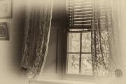 Window - Maureen Rogers